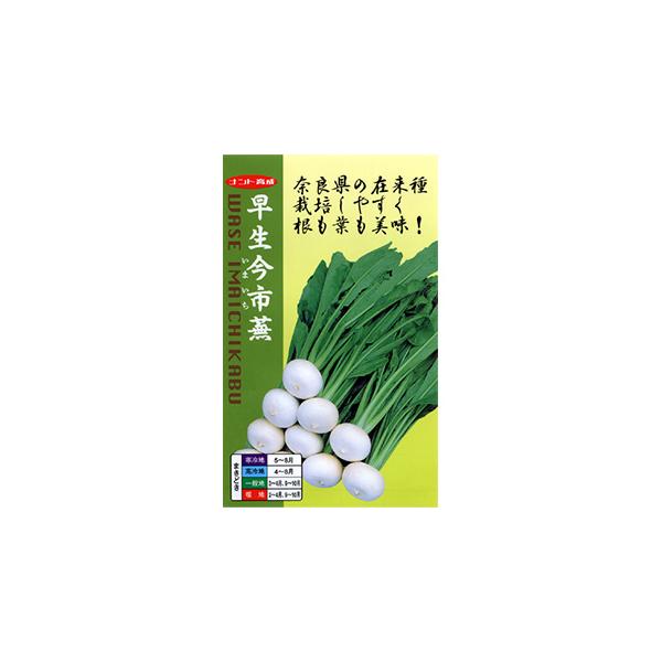 Ju̎ s  2dl ( ؂̎ )