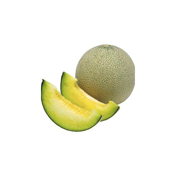 ̎ piTF 100 ( ؂̎ )