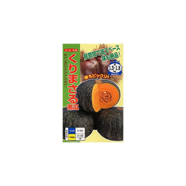 J{`̎ ܂ 100 ( ؂̎ )