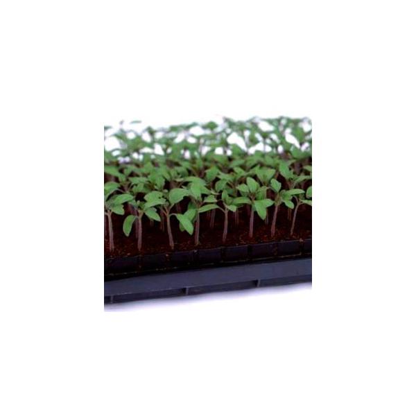 ̑̎ g}g؁@΂鍪xNg 1000