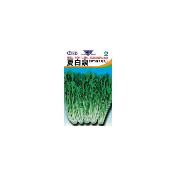 Ĕ򐅍 (؁A؂̎)  20ml ( ؂̎ )