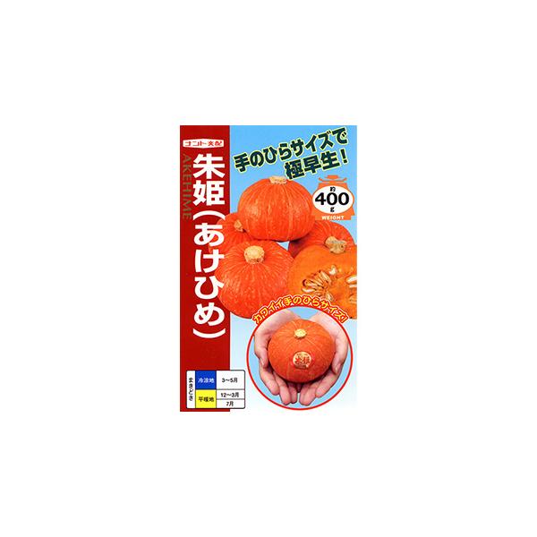 J{`̎ P (Ђ) 100 ( ؂̎ )