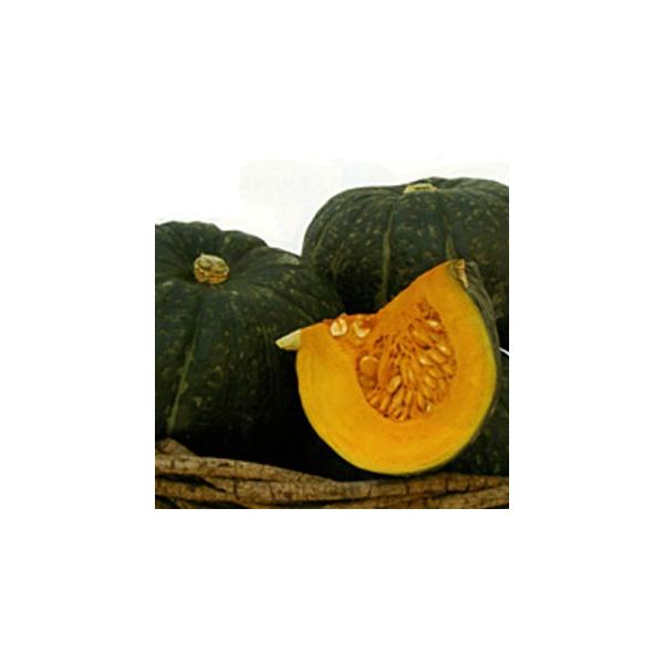 J{`̎ ӂӂ ܁i8j ( ؂̎ )