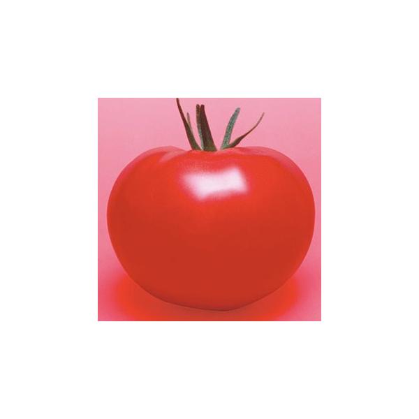 g}g̎ beY͂邩 1000 ( ؂̎ )