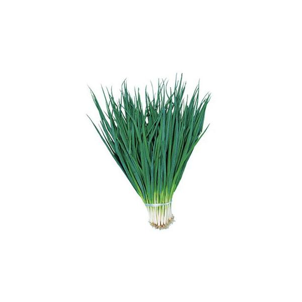 lM̎ lM̎ 󉩌nK 1dl ( ؂̎ )