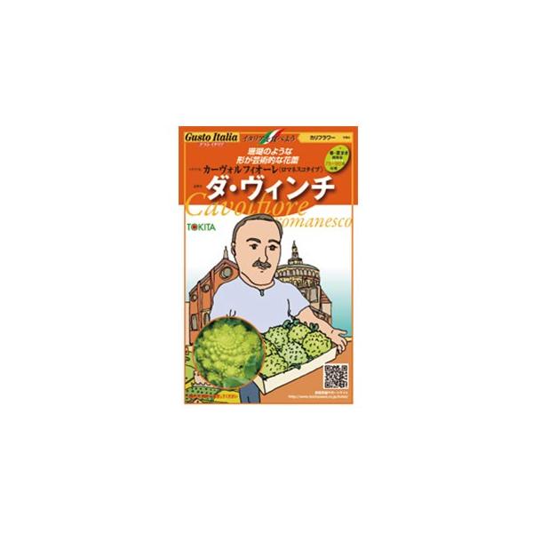 Jt[̎i}lXR) _EB`  50 ( ؂̎ )