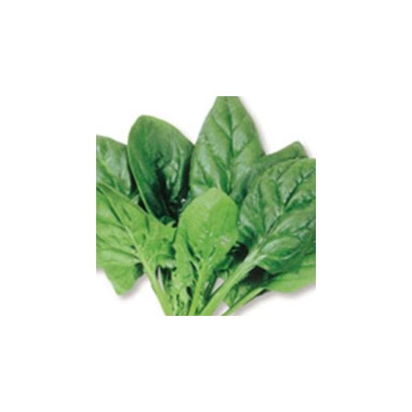 ق񑐂̎ TCg 珬 ( ؂̎ )