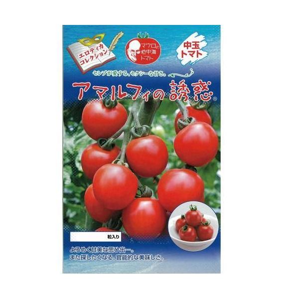 g}g̎ A}tB̗Uf 100 ( ؂̎ )