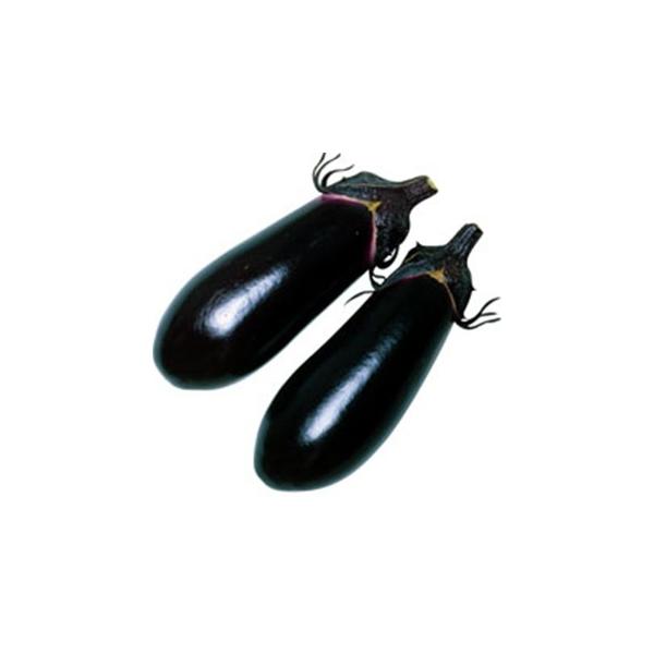 iX̎ Y 2000 ( ؂̎ )