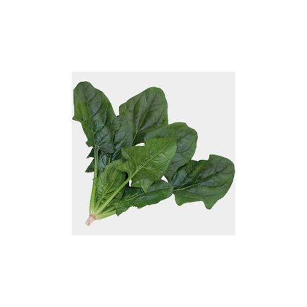 ق񑐂̎ vOX M3 ( ؂̎ )