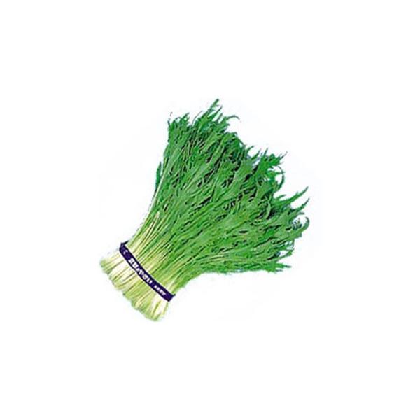 t؂̎ cPi ؋ 2dl ( ؂̎ )