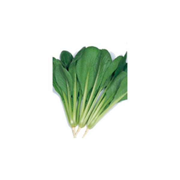 小松菜の種 いなむら 2dl ( 野菜の種 )