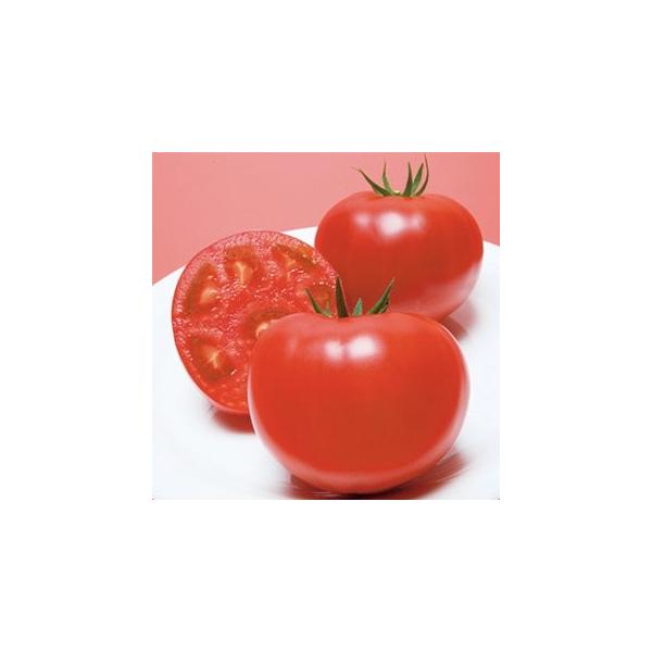 g}g̎ beYi  1000 ( ؂̎ )