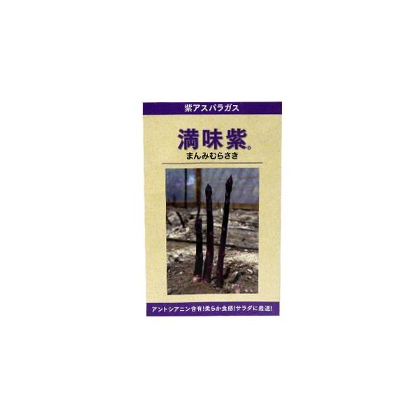 AXpKX̎  100 ( ؂̎ )