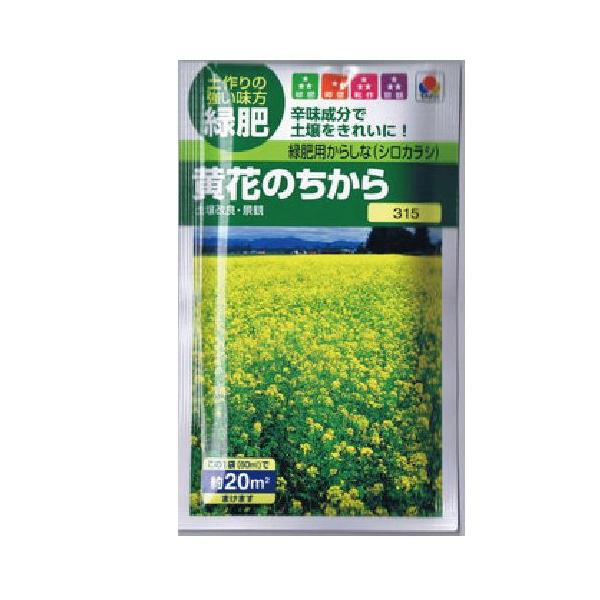 Δ Δp炵ȁ@Ԃ̂(炵Ȃ̎)  񏬑(60ml)