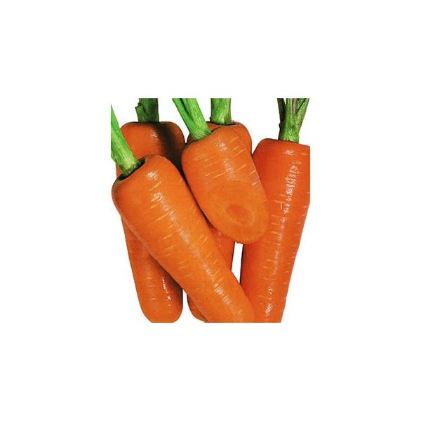 jW̎ ЂƂ݌ܐ 2dl ( ؂̎ )