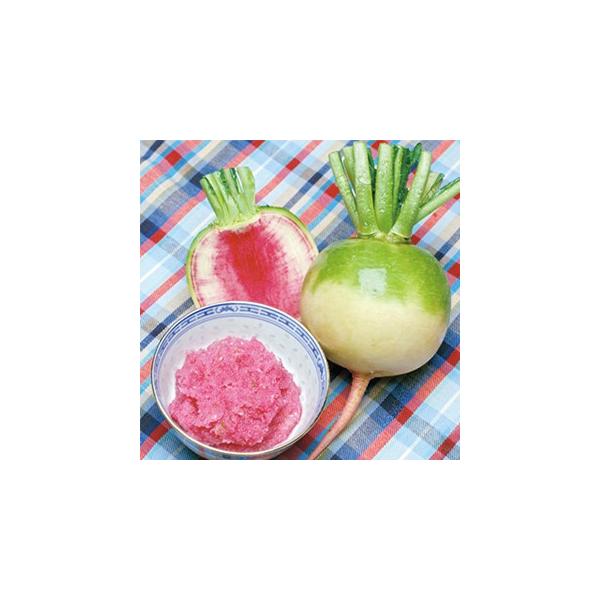 卪̎  gS卪 10ml ( ؂̎ )