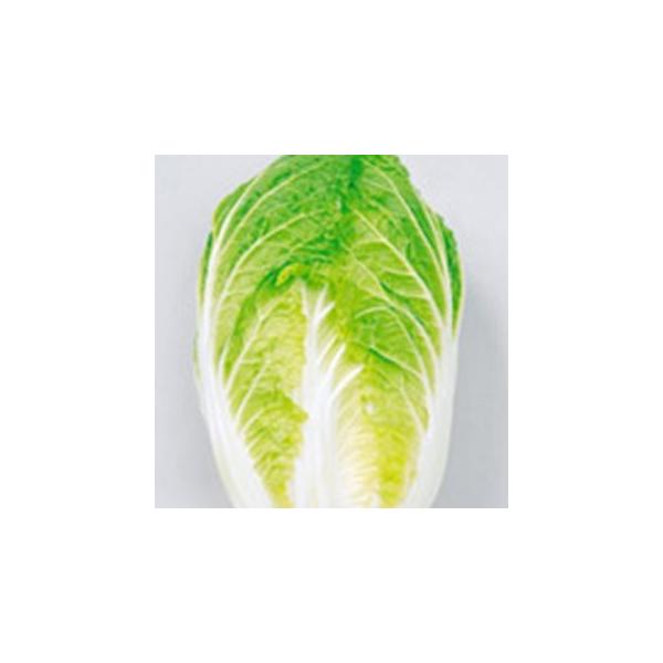 ؂̎ ܂ c ƂԂ613 珬 ( ؂̎ )