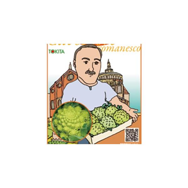 Jt[̎ }lXR _EB` LR[g痱 ( ؂̎ )