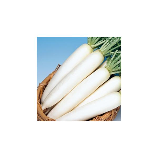 卪̎ H_y 2dl ( ؂̎ )