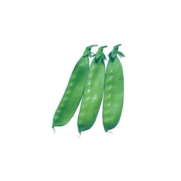 GhE̎ GhE Vp[ji␫j 200 ( ؂̎ )