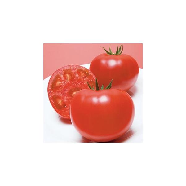 g}g̎ beYi  2000 ( ؂̎ )