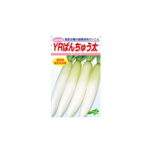 _CR̎ xq΂񂿂イ  ( ؂̎ )