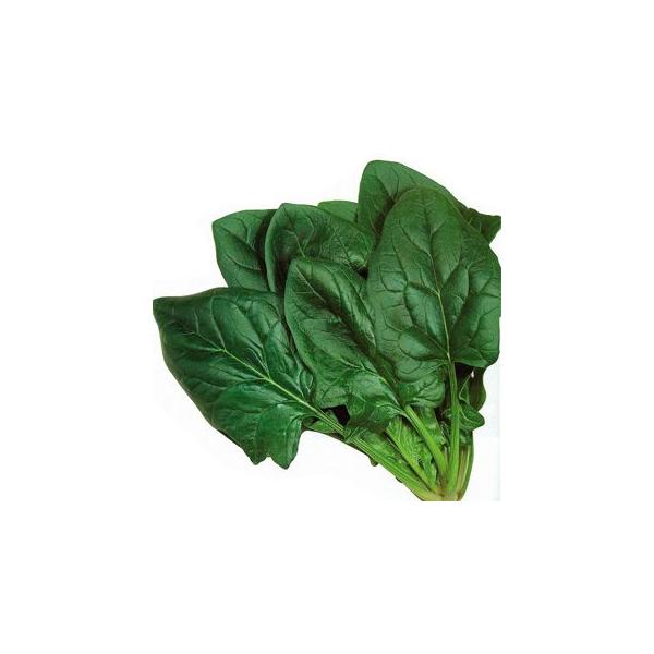 ق񑐂̎ nCTsA̎ M3 ؎q tς zE\E ( ؂̎ )