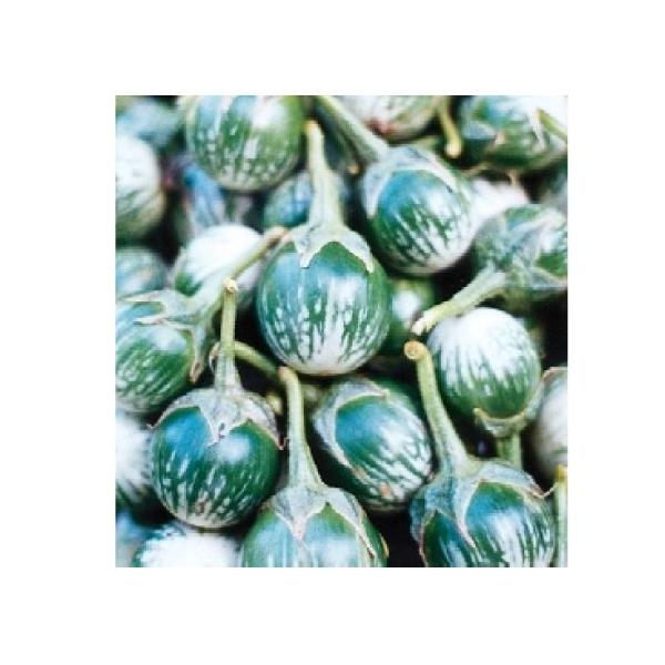 茄子の種 タイなす なす 小袋 野菜の種 Buyee Buyee Japanese Proxy Service Buy From Japan Bot Online