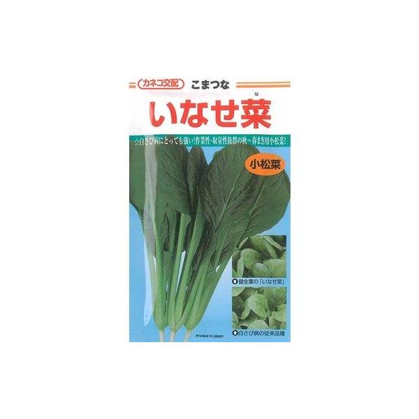  Ȃ؂̎ 2 ؎q tς  ( ؂̎ )