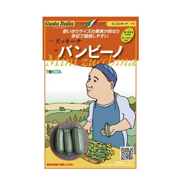 YbL[j̎ or[m 8 ( ؂̎ )