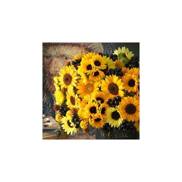 Ђ܂̎ Tb`@\C~[WA ܁i20j