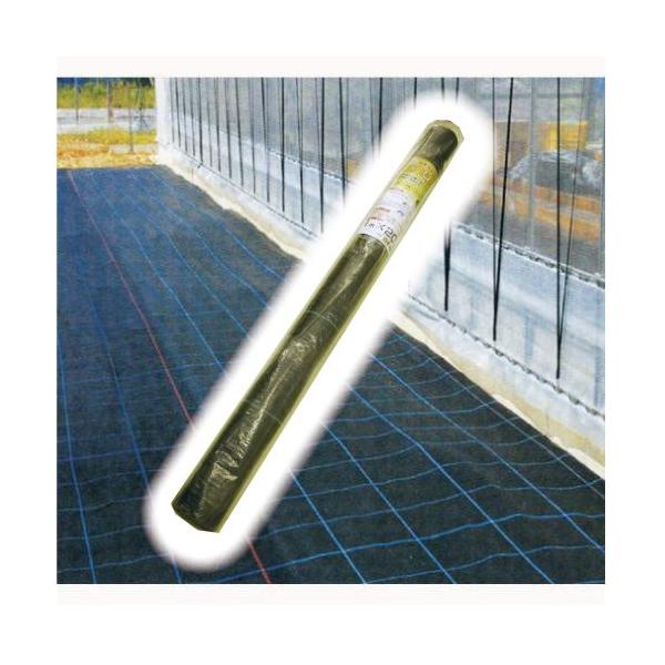 ~OK! G΍V[g(hV[g) 1m×10m