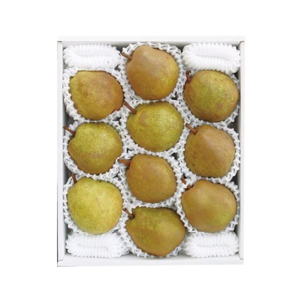 ݉̎R`Y tX 3.2kg@8`10 R`Y i Mtg