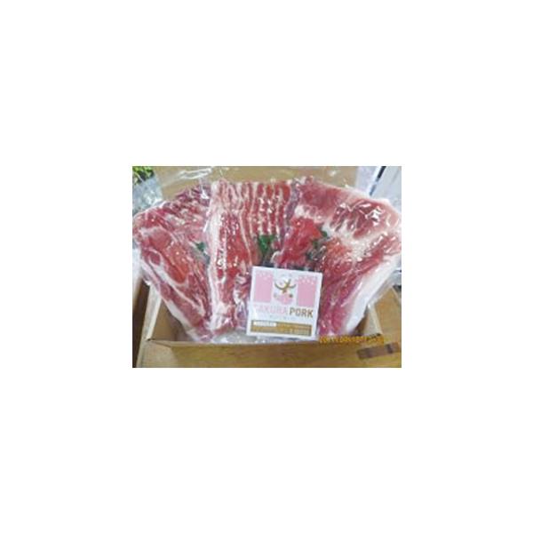 pԂԃZbg OdsY i Mtg ؓ 