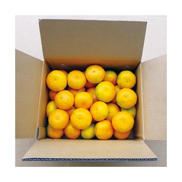 IBF݂ 5kg OdlY  Mtg i 蕨