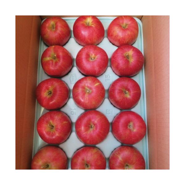 ƒpTӂ 3kg@7`10 쌧Y