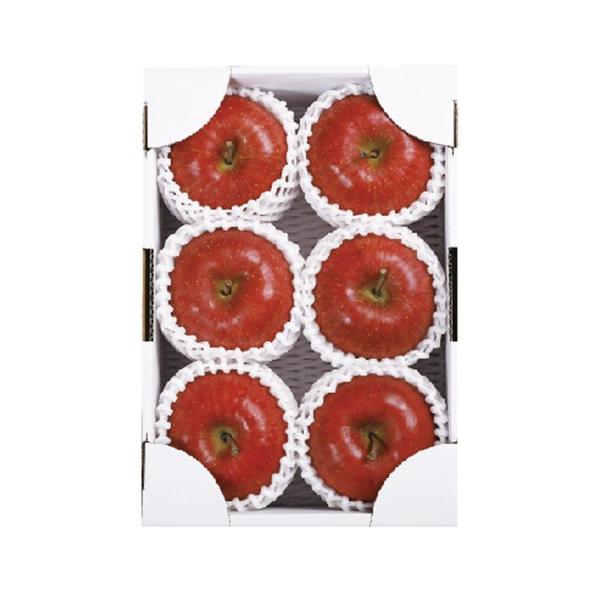 ݉̎R`YTӂGi 2kg@5`6 R`Y