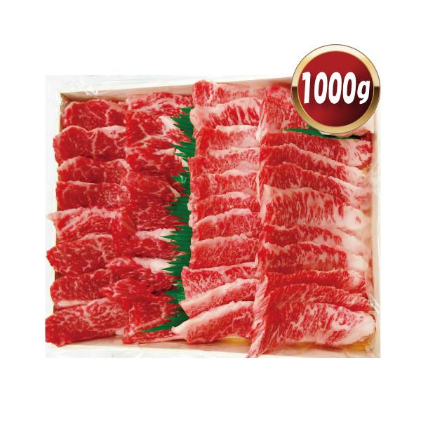 ɉꋍ@ēpJrEネ[X@1000g Odɉs i Mtg