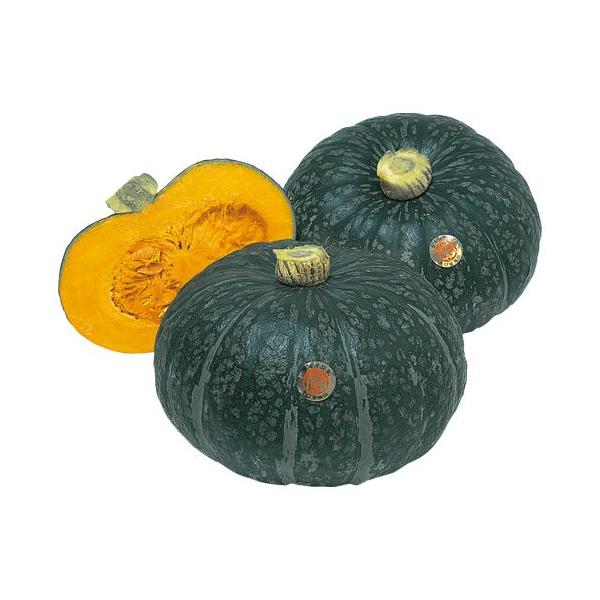 予約販売：4月以降発送 品種名：えびす 商品内容：苗 4本セット  果肉は濃黄色。肉質はやや粘質がかった粉質