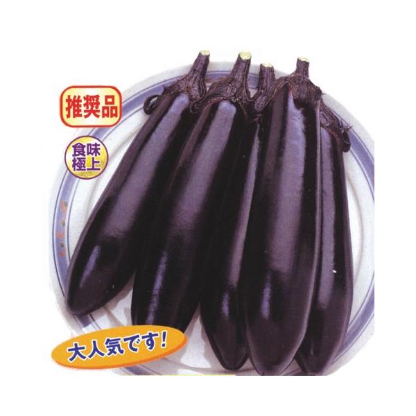 予約販売：4月以降発送 品種名：筑陽 商品内容：接木苗 4本セット  細長く先端が尖る形状になる。水分が多く甘みがある。