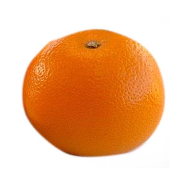 kނ̕c g i ׂɂ͂ j 1Nc