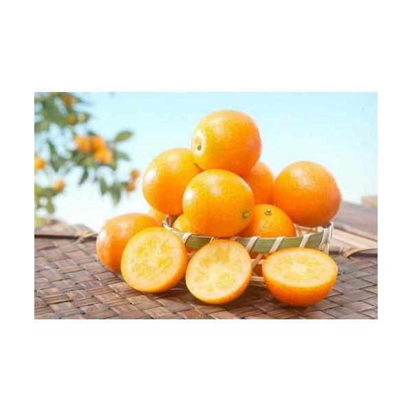 金柑の中でも最も甘い種類で、その上種無し！お子さんも喜ぶオススメ品種です。 容量：1本  ■この商品はメール便不可です。宅配便でのお届けとなります。 4本まで同梱可能ですが、それ以上の本数の場合梱包が複数となり、送料を加算させていただく場合...