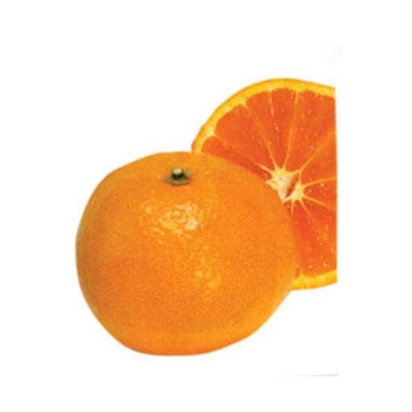 kނ̕c ÊC i Ȃ j 2Nc