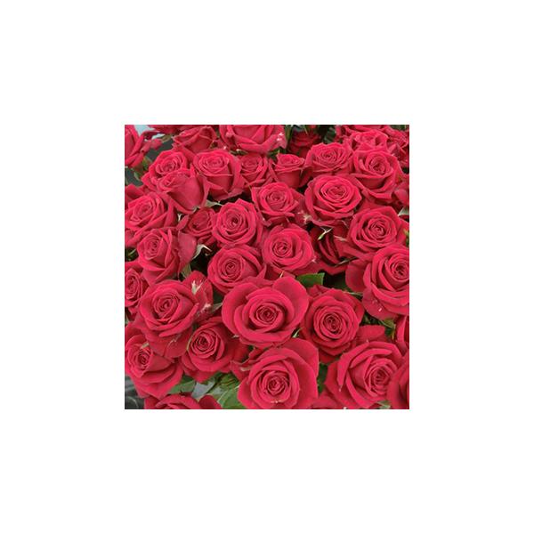 oc (\̔)  GWFbh 2N劔c 4