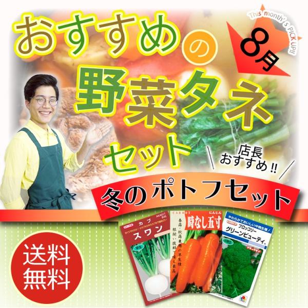 X!!~̃|gtZbg ( ؂̎ )