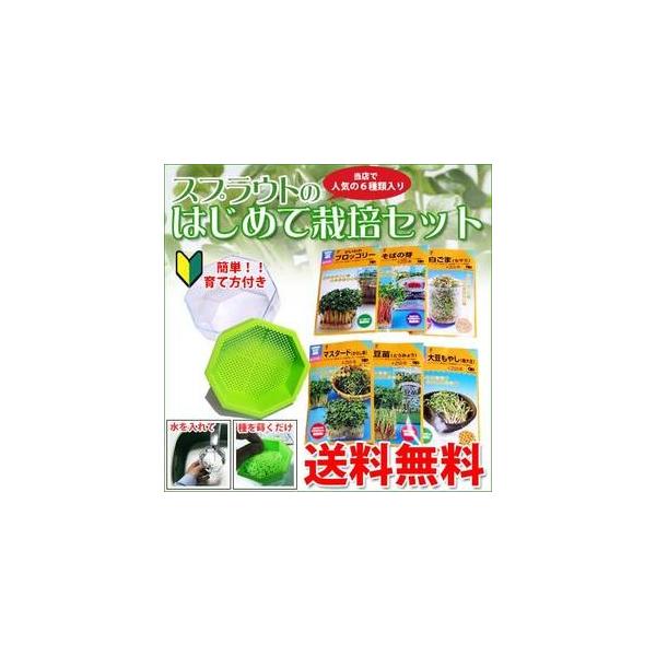 XvEg ͔|Zbg ͂߂č͔|Zbg (XvEg6×͔|et) ( ؂̎ )