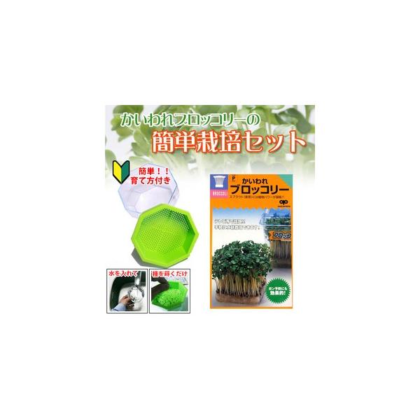 ubR[XvEg ͔|Zbg ȒP͔|Zbg (͔|et) ( ؂̎ )