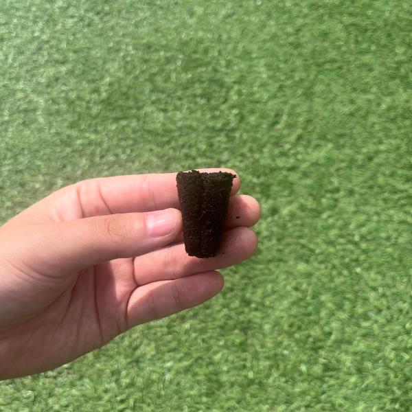 水耕栽培専用の苗です。■メリット　(1)育苗の手間を削減　(2)失敗リスク、機会損失を軽減して成功率アップ■こんな方におすすめ　(1)導入初期　(2)違った品種も試してみたい　(3)バリエーションを増やしたい★人にも環境にも優しいこだわりの...