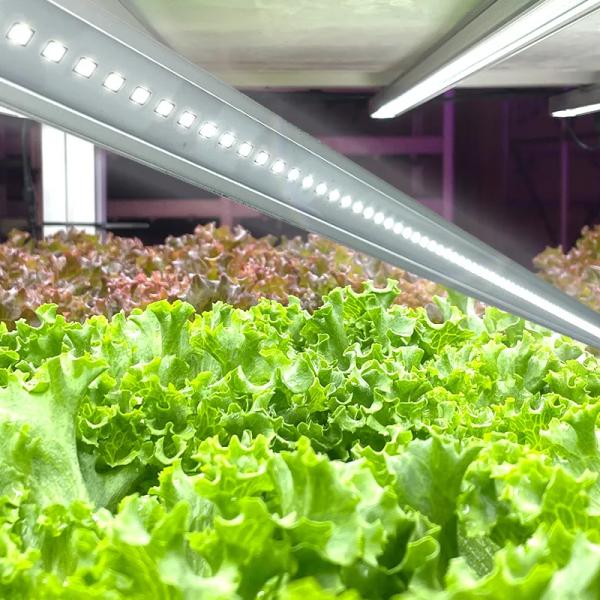 定植用LEDライト 120cm フルスペクトル 25W 【4本セット】｜プロ施設で導入多数！植物工場・水耕栽培に最適｜アクアポニックス